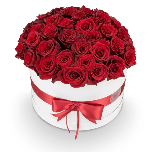 Box červených růží